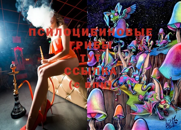 альфа пвп Надым