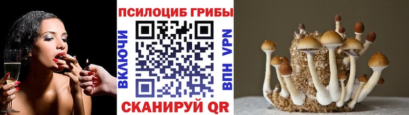 Галлюциногенные грибы Magic Shrooms купить сайты Барнаул