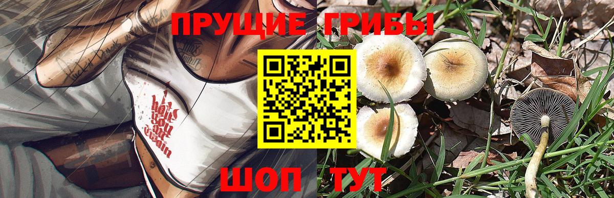 Галлюциногенные грибы мицелий Барнаул
