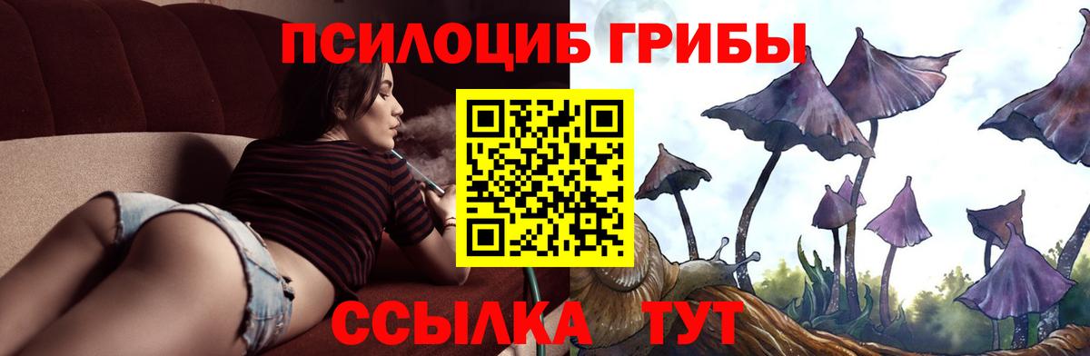 Псилоцибиновые грибы Magic Shrooms Барнаул